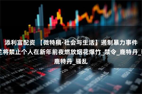 添利富配资 【微特稿·社会与生活】遏制暴力事件 荷兰将禁止个人在新年前夜燃放烟花爆竹_禁令_鹿特丹_骚乱