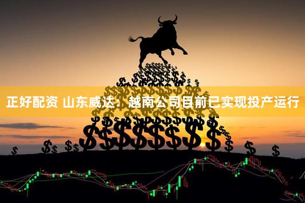 正好配资 山东威达：越南公司目前已实现投产运行