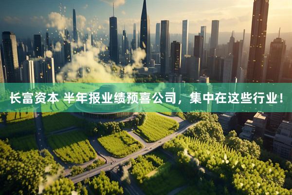 长富资本 半年报业绩预喜公司，集中在这些行业！